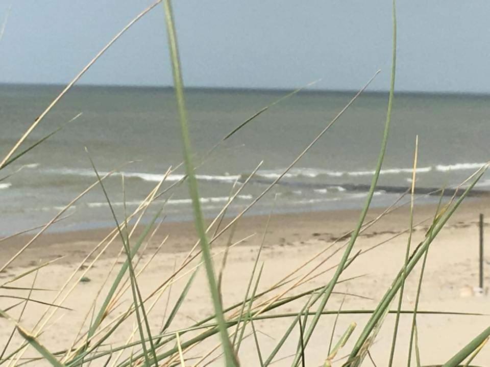 Stacaravan 4Pers In Bredene Met Eigen Tuintje 2449 Exterior foto
